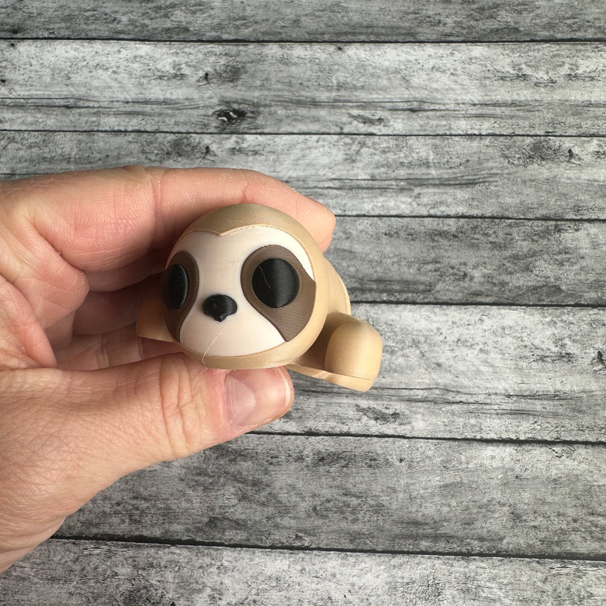 Sloth