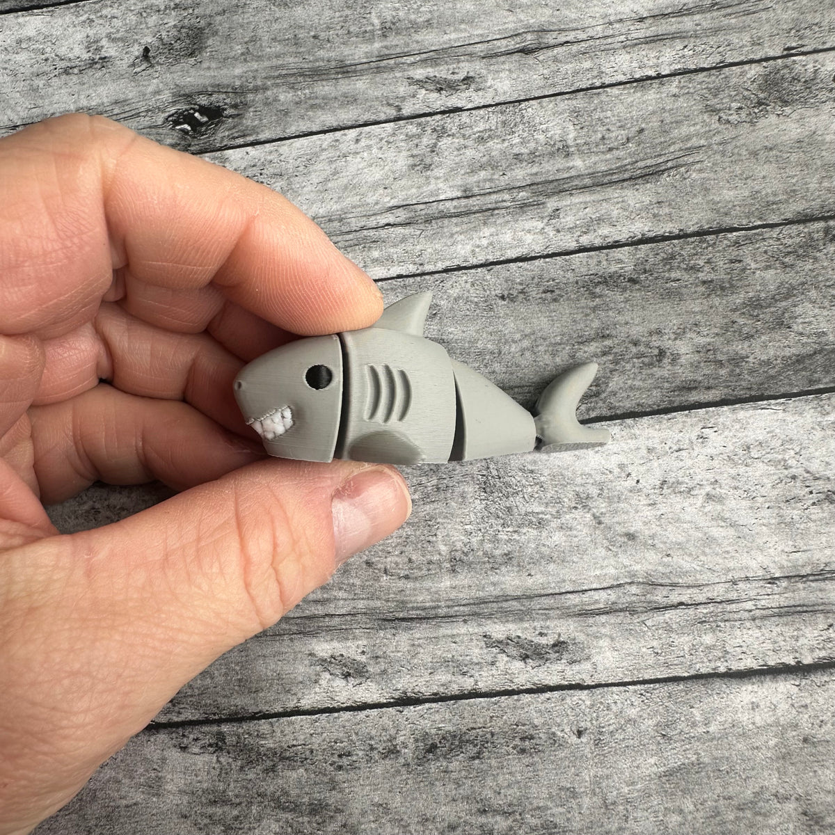 Flexi Shark